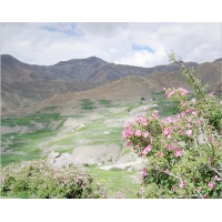 fol_natur8.jpg