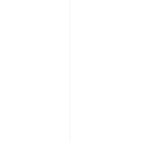 fol_strich_h2.jpg