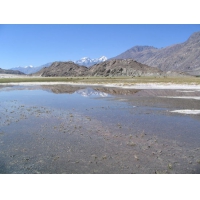 Salzsee in Nubra.jpg
