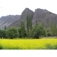 Unterwegs in Nubra.jpg