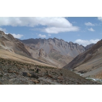 DSCF1838.jpg