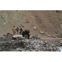 DSCF1839.jpg