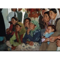 www.lingshed.org.jpg