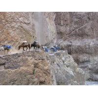 poneytrek3.jpg
