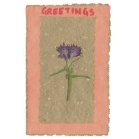 Greetings_3.jpg