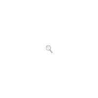 lupe.png